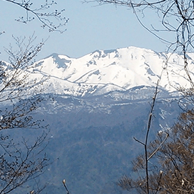 玉原高原のご案内